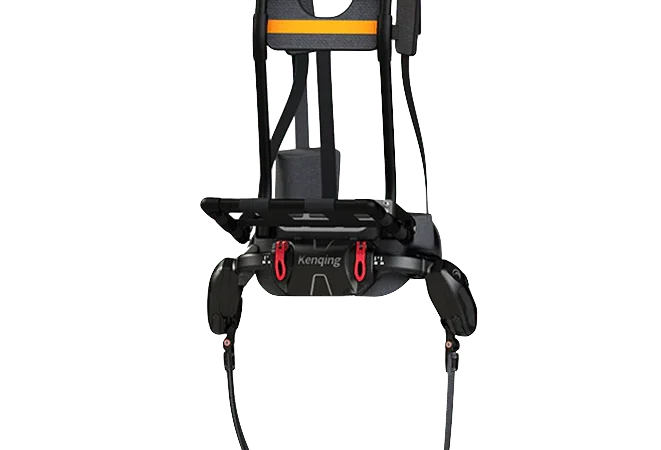 Ant- P1