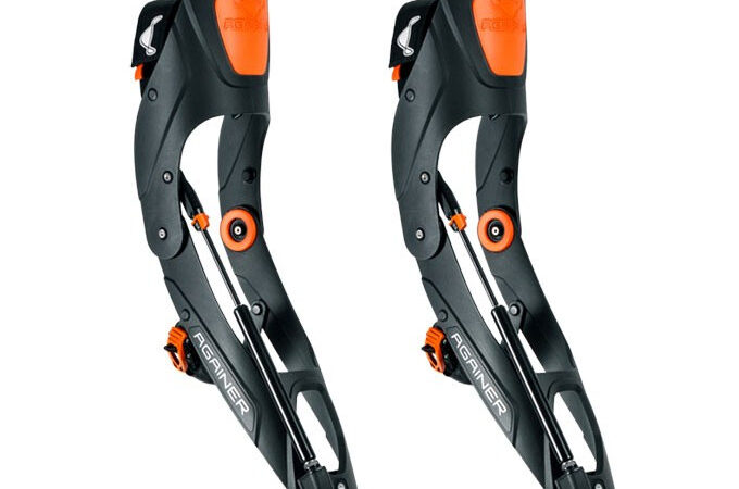 ski
