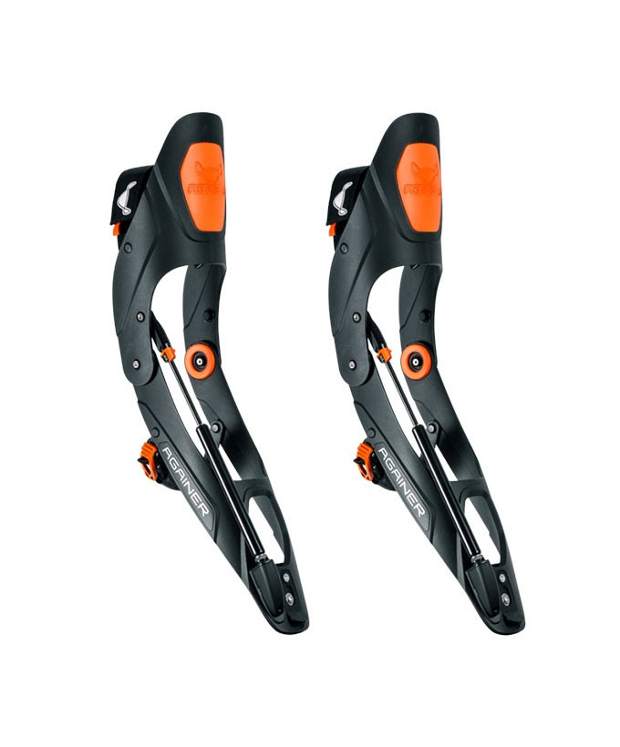 ski